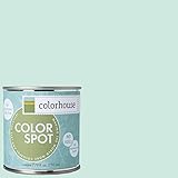 Inspired Eggshell Interior Colorspot Paint Sample, Water .01, 8-oz [並行輸入品]