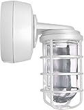 RAB VXBR2SN70W34 Vp Hid Bracket 70W, High Pressure Sodium 120V Npf 34 White with Glass Globe Cast Gd