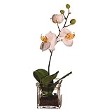 Vickerman AZF11123 Small Orchid in Soil Artificial Plant, 13-Inch [並行輸入品]