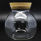 テラリウム ガラスドーム ガラス容器 ハンドメイド コルク付/小【並行輸入品】