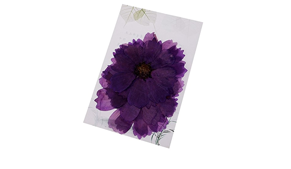 Amazon コスモスフラワー 押し花 乾燥した花 しおり カード作成 家の装飾 ホビー用素材 パープル 10枚入り ホビー用素材 通販