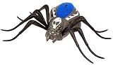 Wild Pets Spider Action Figure - Striker [並行輸入品]