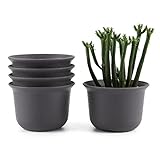 T4U 3.5 インチ プラスチック植木鉢 ラウンド 多肉植物 サボテン鉢 フラワーポット プランター容器 黄褐色 5個入り