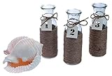 Boston International Cape Cod Style Jute Wrapped Vase Set, 7.75-Inch by 2.5-Inch, Set of 3 [並行輸入品]
