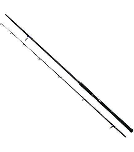 Amazon | 釣王(TSURIOH) JP3008P 烏賊 EGING 78M | 釣王(TSURIOH
