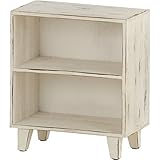 オープンラック2D [W24.5 x D14 x H28cm] 家具 収納家具 オープンシェルフ・ラック