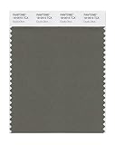 PANTONE SMART 18-0515X Color Swatch Card, Dusty Olive [並行輸入品]