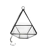 Baoblaze プロパゲータ　マイクロ風景　グラス　テラリウム　ミニチュア　ガーデン　ジオメトリ