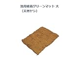 池用植栽グリーンマット 大