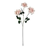 アンフェロローズスプレー FXFR0025PE