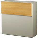 YKK ap　エクステリアポスト　T11型　前入れ後出し　（W7）AME-TY11　『郵便ポスト』 ハニーチェリー／ステン