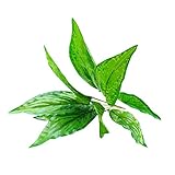 Lovoski 1束　人工植物　シルク　モクレン葉　レプリカ模造　植物　部屋　ホーム　オフィス　装飾　４色選べ - グリーン
