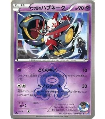 アクア団のハブネーク　マグマ団のザングース　psa10 連番　ポケモンカード アクア団のハブネーク マグマ団のザングース psa10 連番