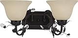 Maxim照明Elegante 2-light Bath Vanity 2864FIOI 1
