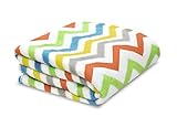 Baby Soft Zig Zag Multi-color Blanket by Little Starter [並行輸入品]
