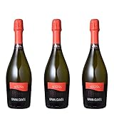 [3本まとめ買い] セレナ グラン・キュヴェ スプマンテ エクストラ・ドライ (Gran Cuvee Vino Spumante Extra Dry) ヴィニコラ・セレナ イタリア ヴェネト 白ワイン 辛口 グレーラ 750ml
