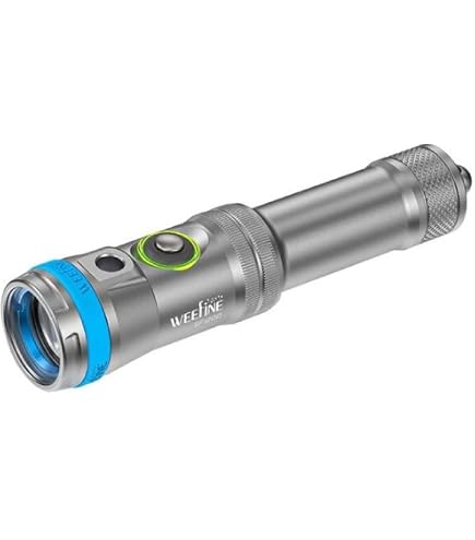 Amazon.co.jp: INON(イノン) LF1000-S 防水型LEDライト : 家電