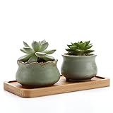 T4U スプリングシリーズ NO.4 ＆ NO.5 多肉植物、サボテン鉢 プランター容器 竹製トレイ付き グリーン 2点入り