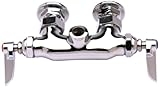 T&S Brass B-0345-LN Wall-Mount Double Pantry Rigid Outlet Faucet with 3-3/8-Inch Centers, Lever Hand