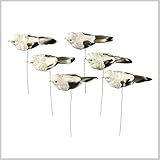 インテリア メッセージカード ガーデニング ガーデン 雑貨 ピック アクセント バード 小鳥 かわいい FEATHER BIRD PICK MONO 6pSET