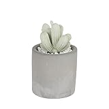 ダルトン(Dulton) カクタス フレグランス ディフューザー Spring Flower G875-959-SF