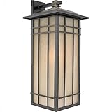 Quoizel HCE8411IBFL Hillcrest 1 Light Outdoor Wall Lantern [並行輸入品]