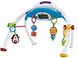 Fisher-Price Apptivity Gym for iPhone & iPod Touch Devices (Discontinued by Manufacturer) by Fisher-