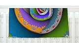 KESS InHouse Michael Sussna Flor Essence Rainbow Spiral Fleece Baby Blanket 40 x 30 [並行輸入品]