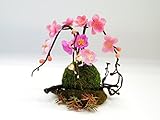 光触媒 桜造花アレンジ 日本アレンジ S-04