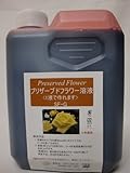 簡単！手作りプリザーブドフラワー　1液タイプ　SF-G液 (1000ml, ワインレッド)