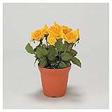 【935-10】造花鉢(5号鉢) バラ 黄色