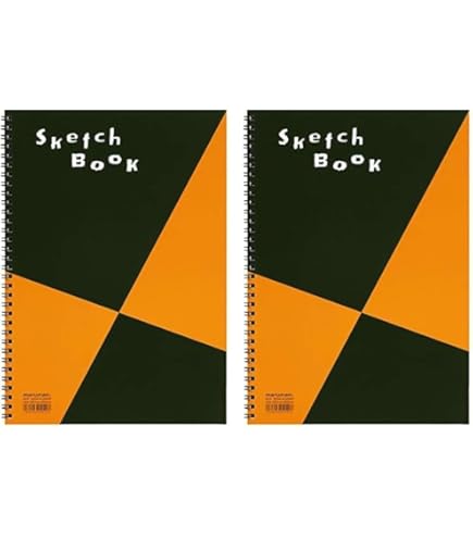 世界素描体系　6冊セット Amazon.co.jp: 世界素描大系 全6冊揃 （本巻4冊別巻2冊） 函入り 定価