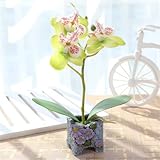 NIUA造花 胡蝶蘭 優雅で高貴な胡蝶蘭 鉢植 人工観葉植物 鉢植え造花 手芸 綺麗 枯れない スーツ 家庭装飾品　雑貨 お誕生日 お祝い ギフト インテリア 飾り (グリーン)