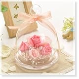 プリザーブドフラワー 花花 アンジーの庭 バラ (ガラスドーム 入り) お祝い プチギフト プレゼント ギフト (オペラ ラズベリー ピンク)
