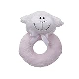 Friendly Pacifier Plush Ring Rattle Pacifier, Pastel Pink by First Friends [並行輸入品]