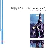 Bee Thousand [Analog]