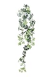 造花アート・観葉植物　壁掛シュガーバイン＜ お中元 お歳暮 フラワーギフトに＞