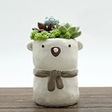 可愛い 熊 植木鉢 プランター ファッション小物 フラワーポット 雑貨 インテリア 飾り おしゃれ 多肉植物 寄せ植え 鉢