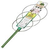 コーベック 花支柱6号 約60cm