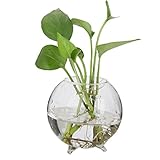 Baosity ガラス製　花瓶　植物　花　栽培　ボトル　水耕栽培容器　テーブル　飾り