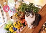 岩合光昭　福ねこカレンダー2026 ([カレンダー])