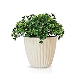 人工観葉植物 造花 フェイクグリーン お手入れ不要 玄関 トイレ お部屋 インテリア B