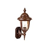 Acclaim 3502BW Monterey Collection 1-Light Wall Mount Outdoor Light Fixture, Burled Walnut [並行輸入品]