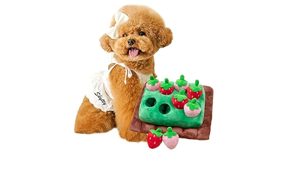 Amazon にんじん 畑 犬 おもちゃ 音の出る 知育玩具 にんじん収穫隊 犬ノーズワークマット いちご畑 嗅覚訓練マット 訓練毛布 ペットおもちゃ 犬用 猫用 餌マット 犬嗅ぎパッド ペット 犬 用品 犬のおもちゃ 運動不足 食いすぎる対策 ストレス解消 家の破壊