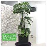 人工観葉植物 光触媒 モンステラ 170cm