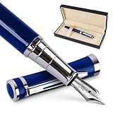 ワーズワース & ブラック 万年筆セット 中字 インクカートリッジ24本とインク詰め替えコンバーター付き ギフトケース ジャーナリング カリ