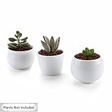 T4U 6.5/7/7CM 陶器ミニ植木鉢 3個セット 白 多肉植物 サボテン鉢 フラワーポット プランター容器