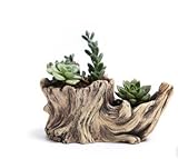 Noloo フラワーポット盆栽植木鉢　ガーデンポット樹脂　多肉植物容器　 プランター容器　フラワーポット装飾　置物　贈り物