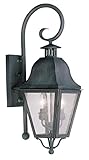 Livex Lighting 2551-61 Amwell 2-Light Outdoor Wall Lantern, Charcoal [並行輸入品]