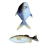Baosity ディスプレイ　2個入り　模型玩具　ギフト　現実的　人工魚　食用不可　全2タイプ　知育　模倣魚